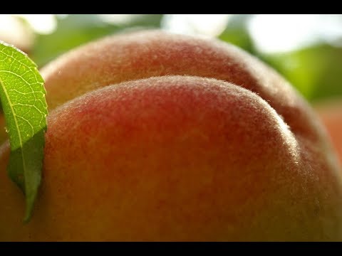 Анальные пробки – зачем они нужны и как их использовать?