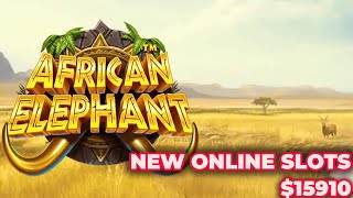 African Elephant Slot Mega Win x397