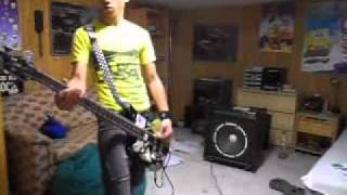 Civil Victim bass cover - Punks of the Past