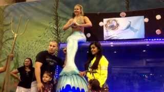 Mermaid Melissa out of water tank close up meet and greet