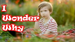 I Wonder Why - Cover by Ivz with Lyrics (Original Recording by Art Garfunkel and Kenny Rankin)