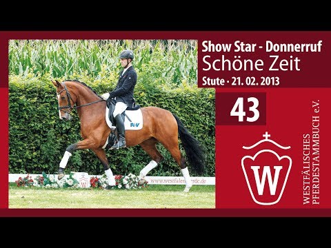 43 Schöne Zeit Stute v. Showstar - Donnerruf