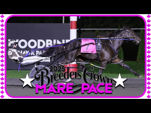 2025 Breeders Crown | Always B Naughty | Mare Pace