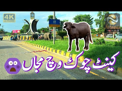 JHELUM CANTT CHOWK | BUFFALO  | HEAVY  TRAFFIC |  ARMY CHOWK | DANGER | ACCIDENT