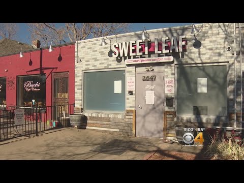 Undercover Sting Operation Nets 13 Arrests From Pot Dispensaries