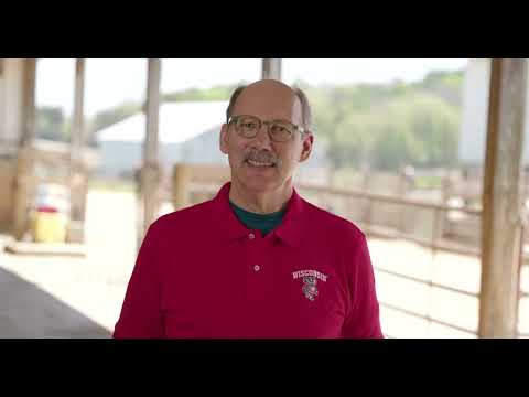 Introduction  What is stray voltage and where does it come from