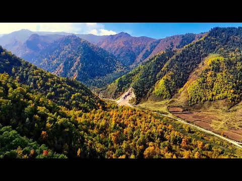 Área de florestação de outono onde as árvores mudam de cor na cidade de Haidong, província de Qinghai