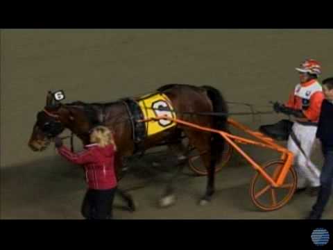 2010 01 23 Meadowlands R10-The Clyde Hurt Pacing Series Final