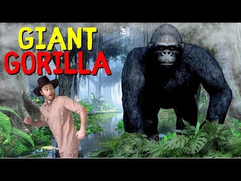 Wir begeben uns auf eine riesige Gorilla-Expedition | 🦍 Kurze Pause mit Entdeckerin Riley
