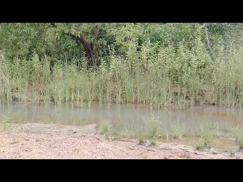 Ramo kuldi new ho monda video