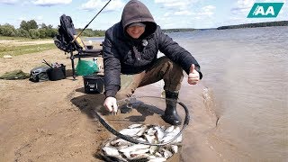 Отчеты о рыбалке озернинского водохранилища