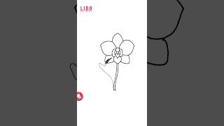 How to Draw an Orchid Easy Flower Drawing for Kids and beginners #lidoartworks