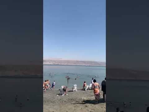 Kalia Beach Dead Sea #shorts