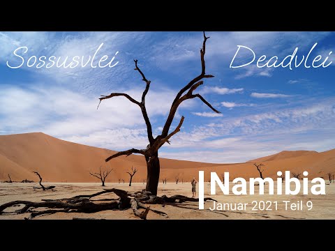 Namibia Roadtrip [9] - Solitair - Sesriem - Sossusvlei - Deadvlei