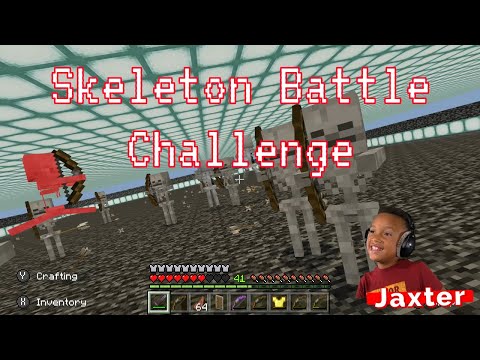 Minecraft Skeleton Battle Challenge