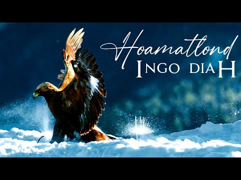 INGO DIAH - Hoamatlond