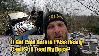 It Got Cold Before I Was Ready..... Can I Still Feed My Bees?