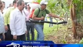Ciudad de México.- México será pionero. En control de la roya del cafeto.