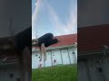 Therian Jump Edit Fashion Trend Civ 1am Dance Theriangear Furry