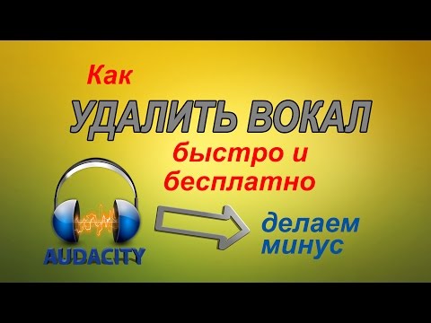 Как УДАЛИТЬ ВОКАЛ из песни за 5 минут в программе Audacity