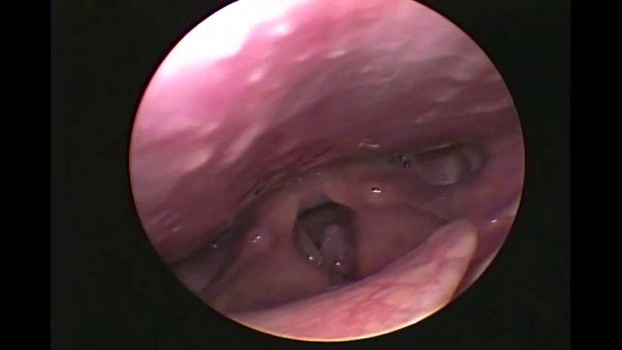 Rogelio Chavolla González-8