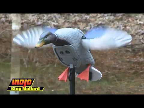 , title : 'MOJO Outdoors Elite Series King Mallard Spinning Wing Duck Decoy'