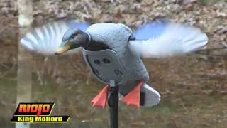 MOJO Outdoors Elite Series King Mallard Spinning Wing Duck Decoy