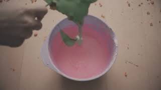 GOD MOTHER - Weak (Official Video)