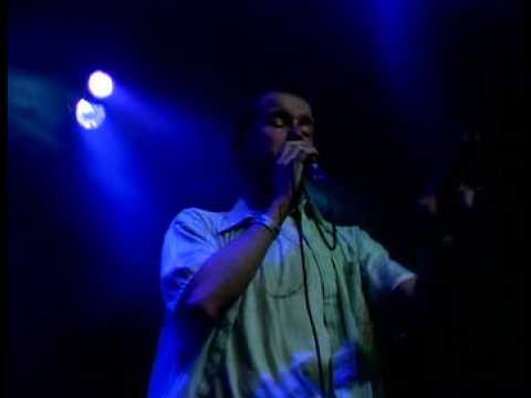 Disproportioned Head - The Vandals