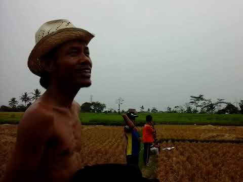 Adam Cianjur - Senandung Rembulan