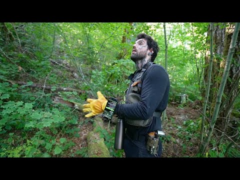 Forest Survival - What am I doing?