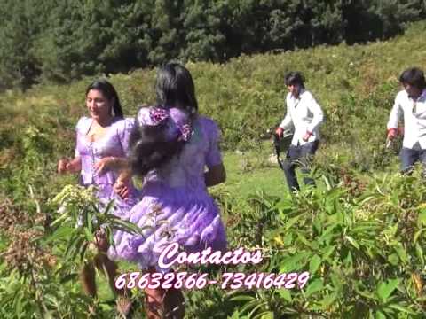 Los traficos del amor - Que te pasa mujer