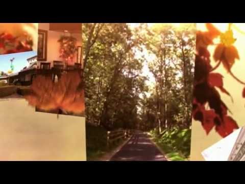 360 Littleton Road Chelmsford Condo rental $1400/mo or make an offer to own !