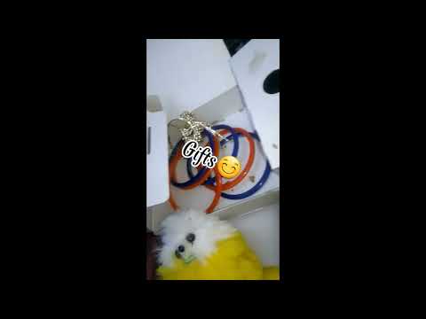 Happy Birthday Api😊Vlog#22 May ne Or Fatima Ne Appi Ko Kia Gift Kia😸Decoration Buhut Pyara Tha❤😻