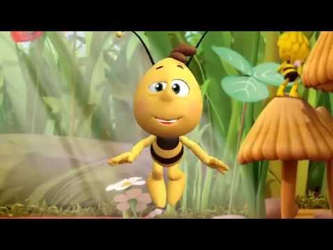 Zoobe мнение пчелы о людях