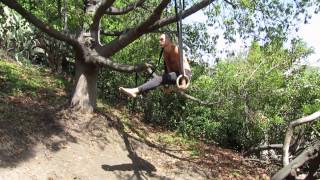 Muscle Up into RTO L-sit by Antranik