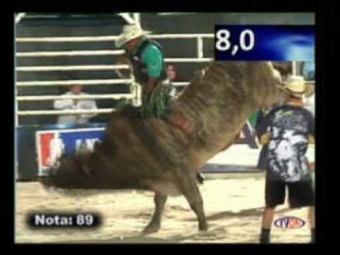 OURO FINO MELHOR NOTA DA NOITE DE 5 FEIRA 2016