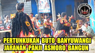 Download lagu BUTO BANYUWANGI !!! Jaranan Panji Asmoro Bangun Tahun 2022 | Jaranan Lampung mp3