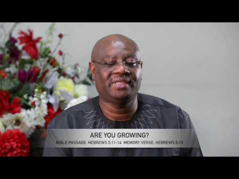 Open Heavens Reflections 25 March 2017 -  Are You Growing?