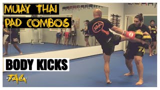 Rear Body Kick Cross Lead Body Kick Jab