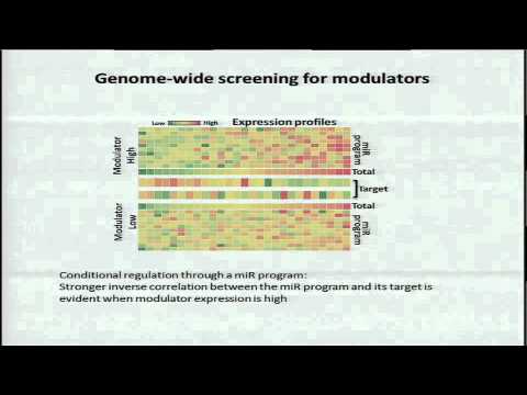 Post-Transcriptional Regulators of microRNA Biogenesis Regulate Pathogenesis - Pavel Sumazin