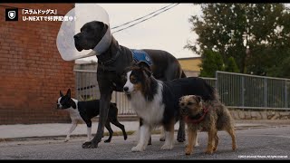 Trailer Preview Image