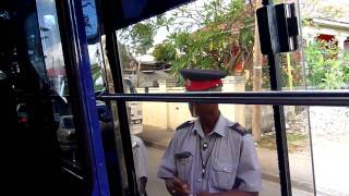 Bad Bajan Bus Driver