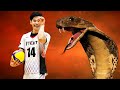 Cobra Style by Yuji Nishida | Craziest Actions in Volleyball History