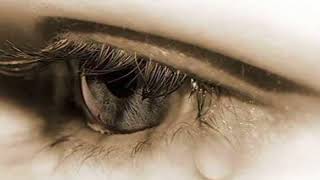 Bewafa   Pavvan   Manav Feat  waseem kk