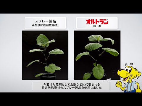 SGH09: 水生環境に対する危険性