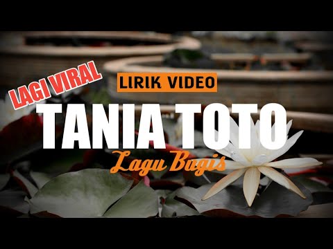 LIRIK VIDEO ~ LAGU BUGIS TANIA TOTO LAGI VIRAL LAGU BUGIS DARI CHICA ALWI