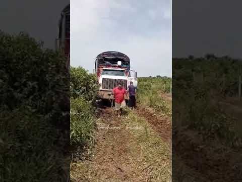 Camiones enterrados por la vía a Puerto Carreño VICHADA #trucks #colombia #vichada #dodge