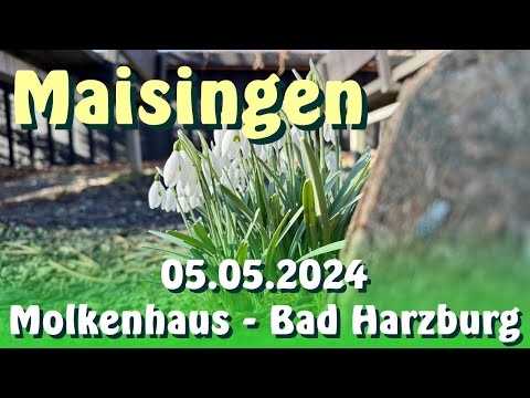Maisingen am Molkenhaus Bad Harzburg 05.05.2024
