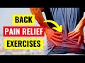 Back Pain Relief Exercises In 5 Min